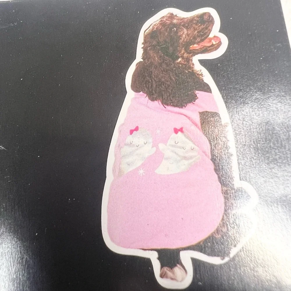 NWT Halloween Hoodie for Dogs Size Medium Pink & Black BOO! with Silver Ghosts